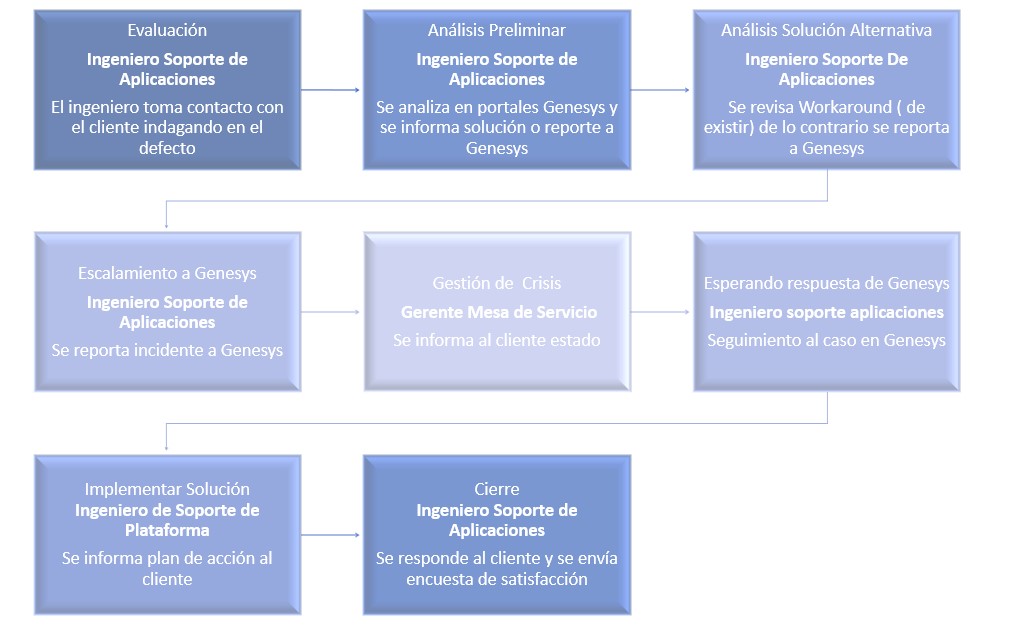 Proceso de Incidente Funcional y Plataforma