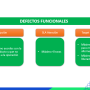 defectos_funcionales.png